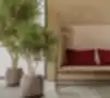 Boxy akustinė poilsio sofa su aukštu atlošu moderniame interjere su alyvmedžiais ir tekstūrinėmis sienų panelėmis.