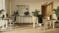 Modernus bendradarbiavimo biuras su baltos spalvos ergonominiais stalais, reguliuojamo aukščio stalais, šviesaus medžio detalėmis, augalais ir natūralia šviesa