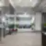 Modernaus coworking biuro erdvė su stiklinėmis pertvaromis, žaliosiomis sofos zonomis ir priekyje matoma „Workland“ registratūra.