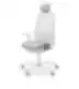 Light gray ergonomic office chair with headrest, armrests, mesh-covered backrest, and five-leg base with casters, on a white background.