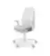 Light gray ergonomic office chair with lumbar support, armrests, mesh-covered backrest, and five-star base with casters, on a white background.