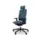 Profim Xenon 11 ergonomiška biuro kėdė su galvos atlošu, mėlyno audinio.