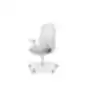 Light gray ergonomic office chair with lumbar support, armrests, mesh-covered backrest, and five-star base with casters, on a white background.