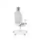 Light gray ergonomic office chair with headrest, armrests, mesh-covered backrest, and five-leg base with casters, on a white background.