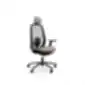 Black ergonomic office chair with headrest, armrests, mesh-covered backrest, and five-leg base with casters, on a white background.