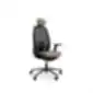 Black ergonomic office chair with headrest, armrests, mesh-covered backrest, and five-leg base with casters, on a white background.