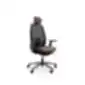 Black ergonomic office chair with headrest, armrests, mesh-covered backrest, and five-leg base with casters, on a white background.