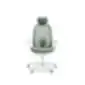 Light gray ergonomic office chair with headrest, armrests, mesh-covered backrest, and five-leg base with casters, on a white background.