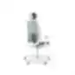 Light gray ergonomic office chair with headrest, armrests, mesh-covered backrest, and five-leg base with casters, on a white background.