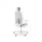 Light gray ergonomic office chair with headrest, armrests, mesh-covered backrest, and five-leg base with casters, on a white background.
