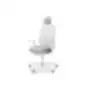 Light gray ergonomic office chair with headrest, armrests, mesh-covered backrest, and five-leg base with casters, on a white background.