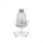 Light gray ergonomic office chair with headrest, armrests, mesh-covered backrest, and five-leg base with casters, on a white background.