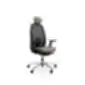 Black ergonomic office chair with headrest, armrests, mesh-covered backrest, and five-leg base with casters, on a white background.
