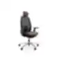 Black ergonomic office chair with headrest, armrests, mesh-covered backrest, and five-leg base with casters, on a white background.