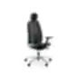 Black ergonomic office chair with headrest, armrests, mesh-covered backrest, and five-leg base with casters, on a white background.