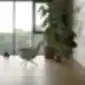 NOOMI Swivel kėdė prie didelio lango su augalais