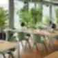 Midj STACK S PP LG žalios kėdės biuro erdvėje